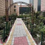 नोएडा चाइल्ड पीजीआई में अस्पताल की दीवारों के बीच प्रकृति की गोद में सुकून का ठिकाना