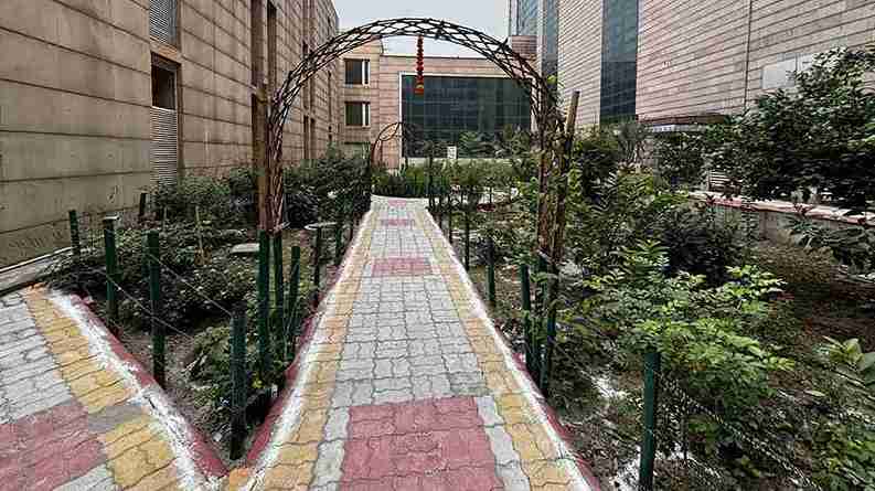 नोएडा चाइल्ड पीजीआई में अस्पताल की दीवारों के बीच प्रकृति की गोद में सुकून का ठिकाना